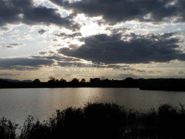 Eco Park Venelin