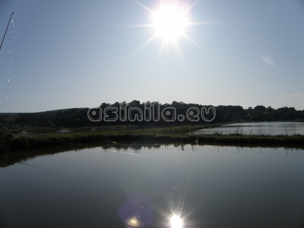Eco Park Venelin