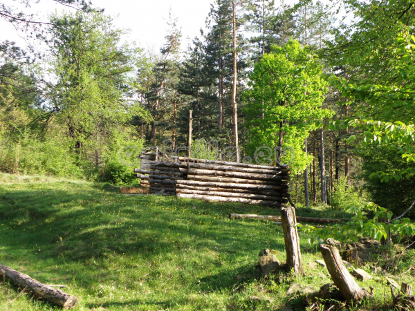 Tryavna