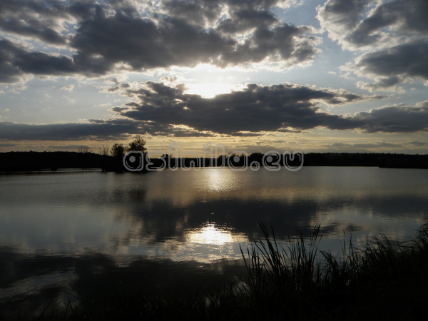 Eco Park Venelin