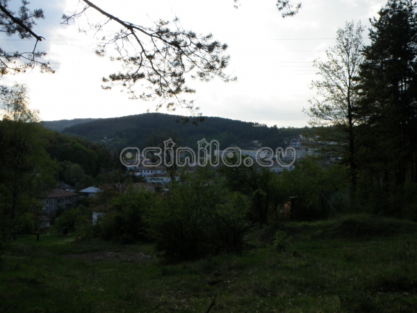 Tryavna