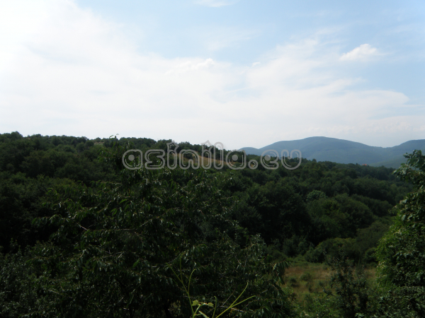 Belitsa