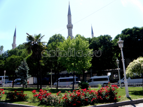 Istanbul, Turkey  - May 2010