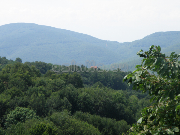 Belitsa