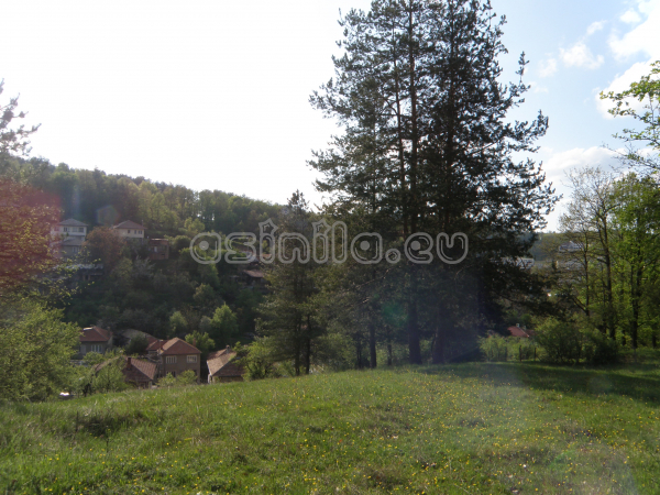 Tryavna