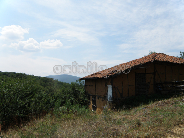 Belitsa