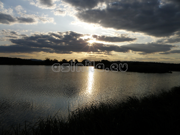Eco Park Venelin
