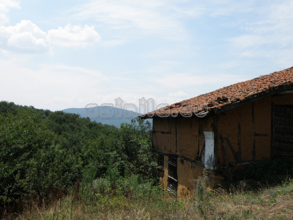Belitsa