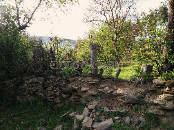 Tryavna
