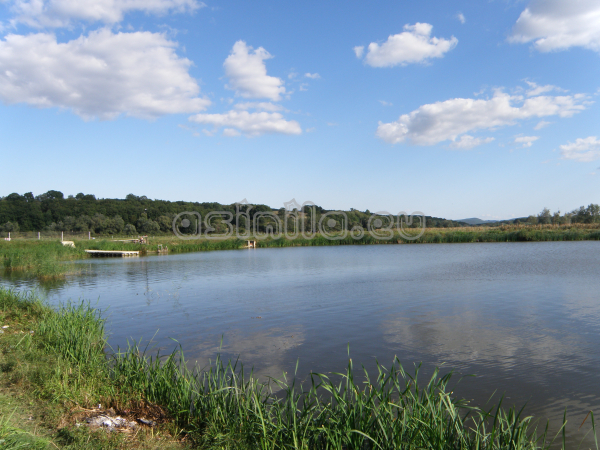 Eco Park Venelin