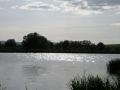 Eco Park Venelin
