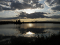 Eco Park Venelin