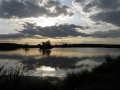Eco Park Venelin