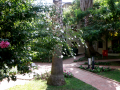 Side, Turkey