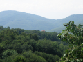Belitsa