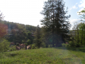 Tryavna