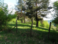 Tryavna