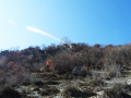 Perperikon