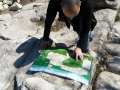 Perperikon