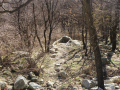 Perperikon