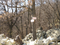 Perperikon