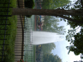 Kings Dominion