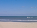 Virginia Beach