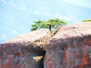 Belogradchik rocks