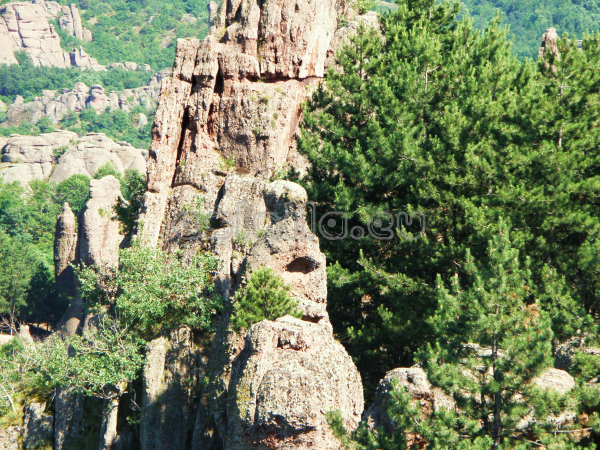 Belogradchik rocks