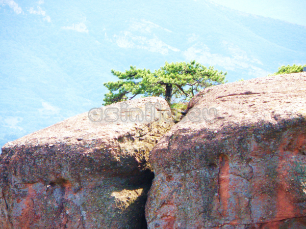 Belogradchik rocks