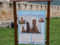 Belogradchik rocks