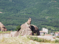 Belogradchik rocks