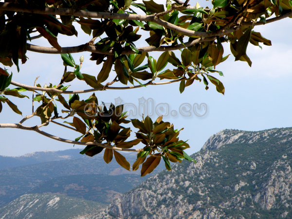 Greece