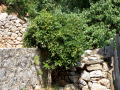 Greece