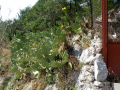 Greece