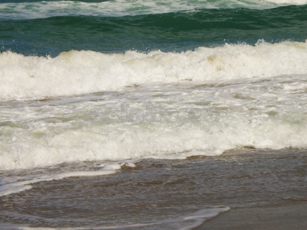 Sunny Beach