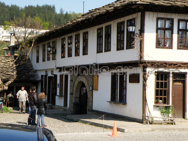 Tryavna