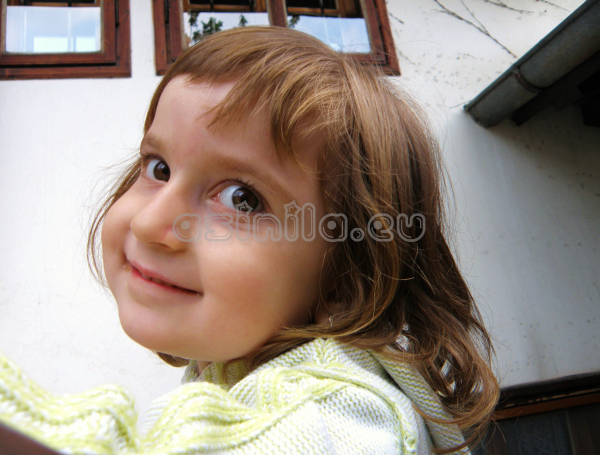 Tryavna