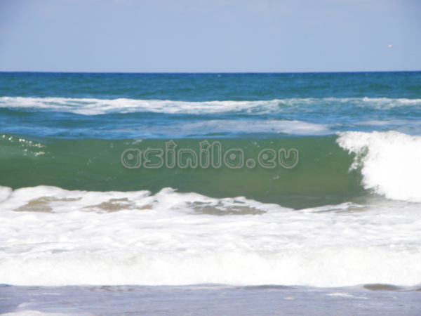 Sunny Beach