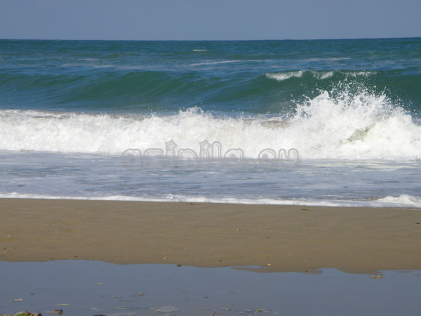 Sunny Beach
