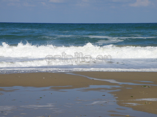 Sunny Beach