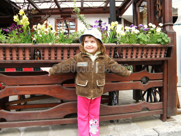 Tryavna