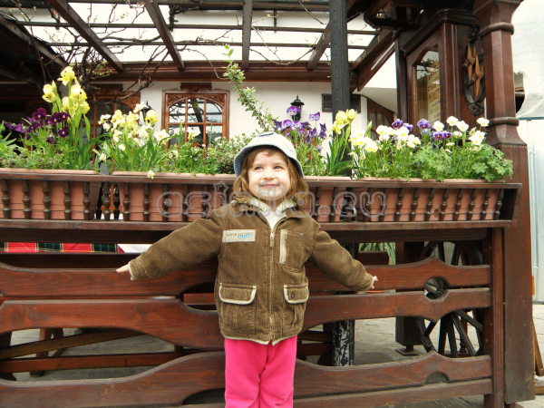 Tryavna
