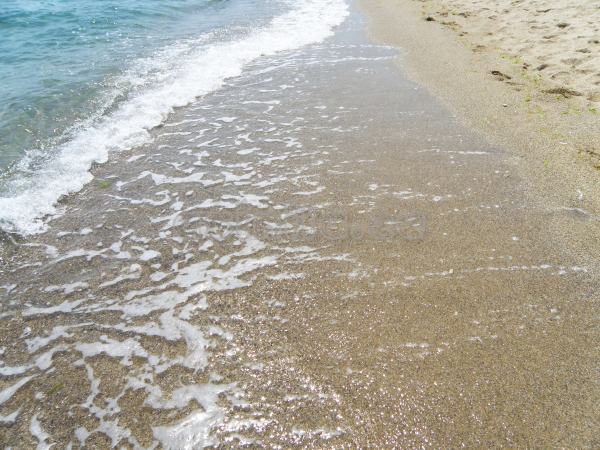 Sunny Beach