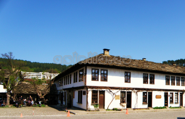 Tryavna