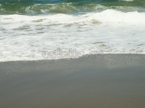 Sunny Beach