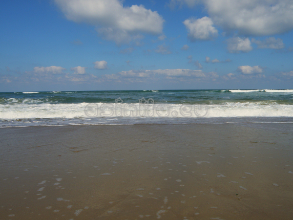 Sunny Beach