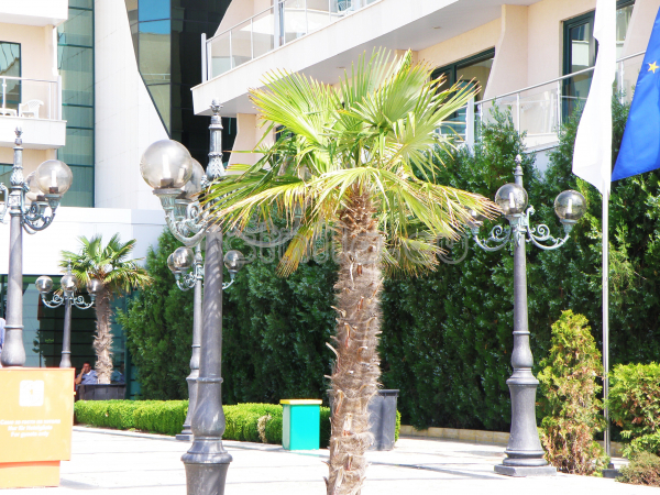 Sunny Beach