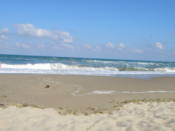 Sunny Beach