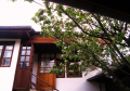 Tryavna